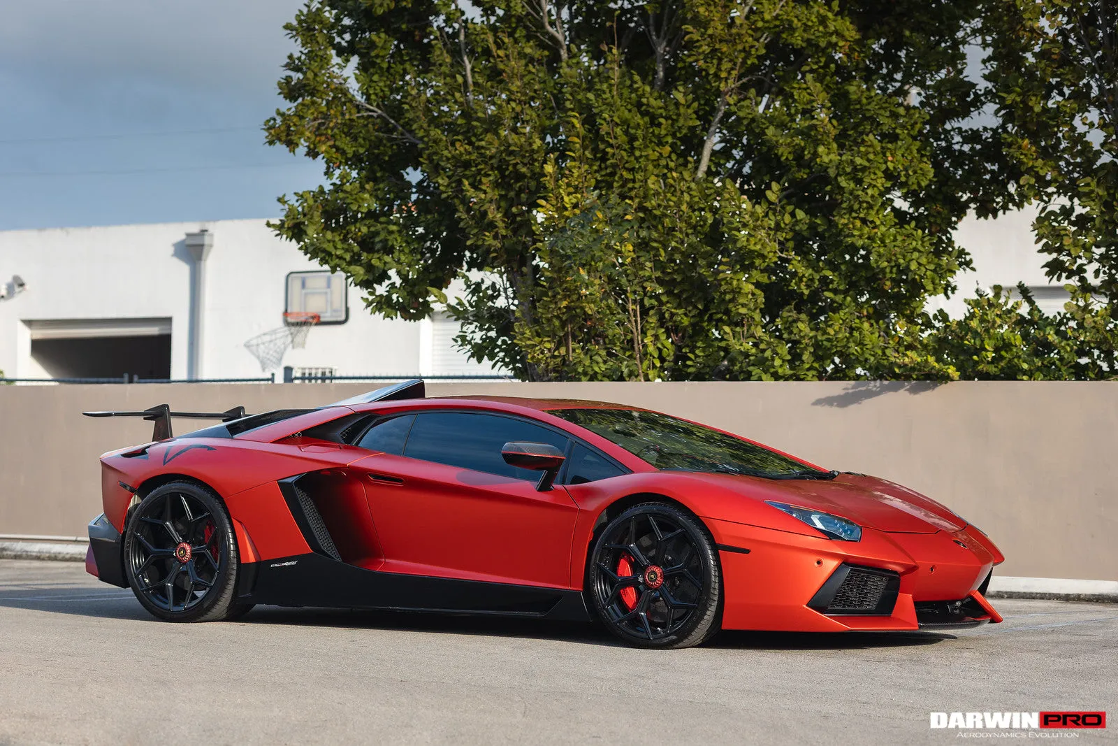 2011-2021 Lamborghini Aventador LP700 LP740 Coupe & Roadster Carbon Fiber Side Skirts