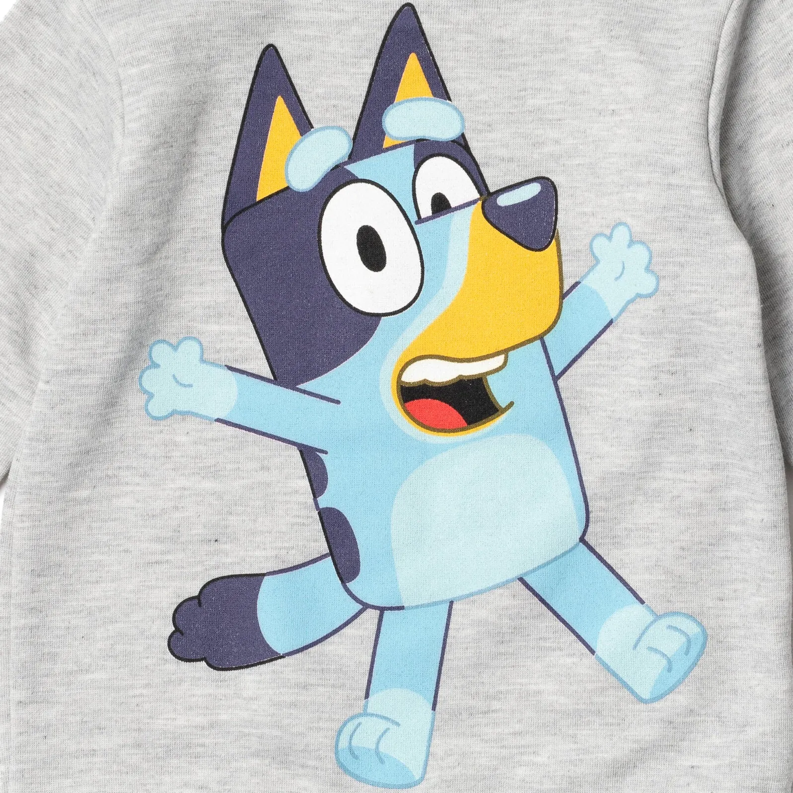 Bluey Sweatshirt and Fleece Pants Set