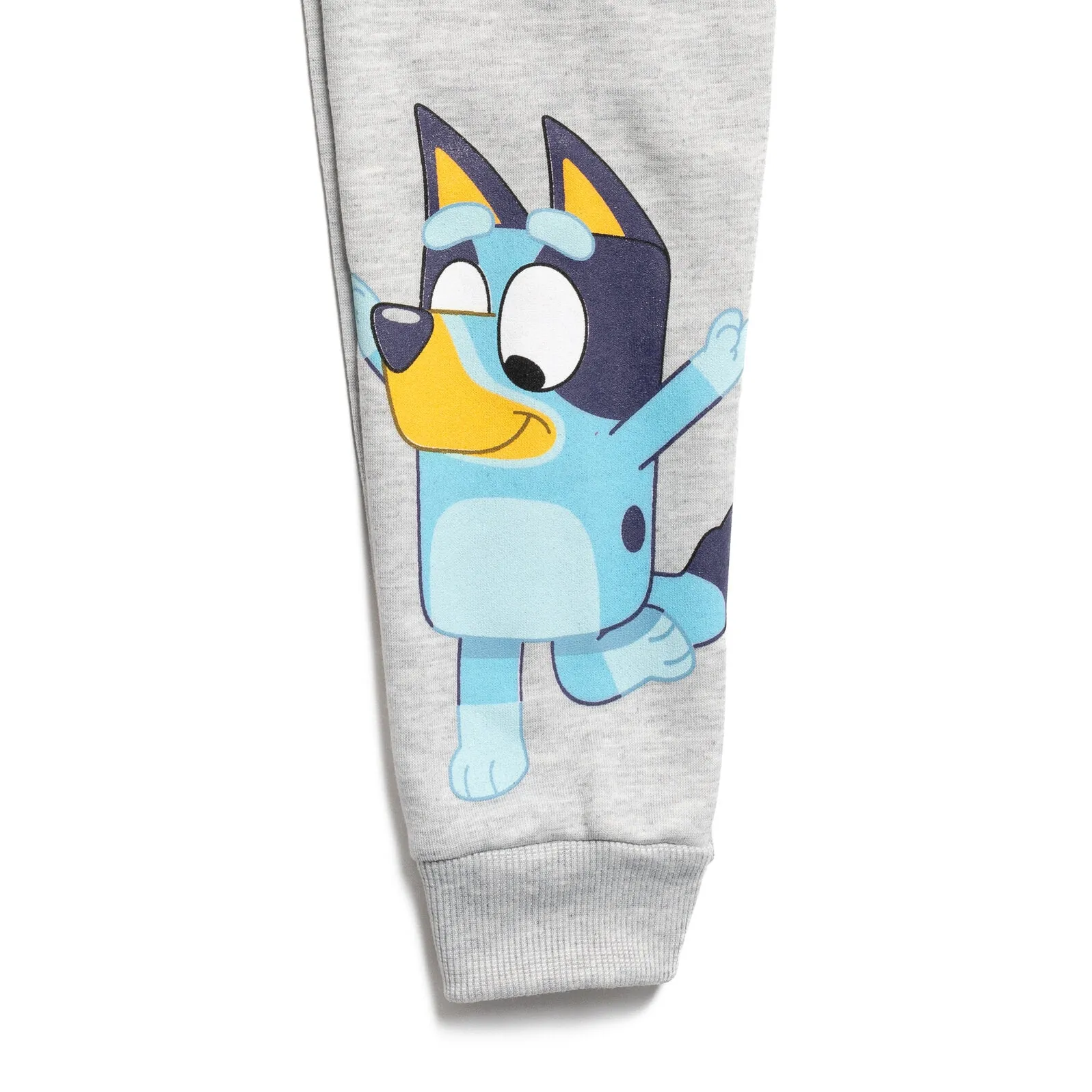 Bluey Sweatshirt and Fleece Pants Set